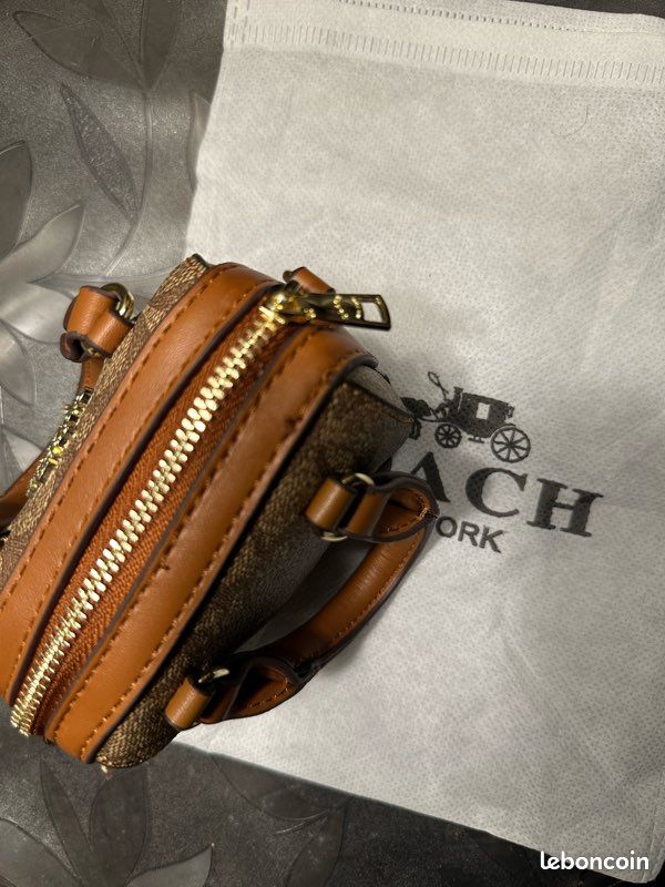 Coach Mini Rowan Charm Bag